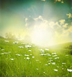 Foto: landscape landscape