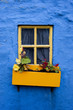 yellow  flower box on blue wall 002