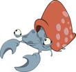 mollusk Nautilus