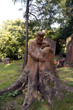 Foto: Die Liebe einer Baumwurzel Die Liebe einer Baumwurzel