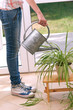 Watering plants