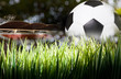 soccer football in green grass with stadium background