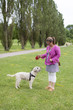 Photo: Training the Dog Training the Dog