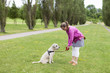 Photo: Training the Dog Training the Dog