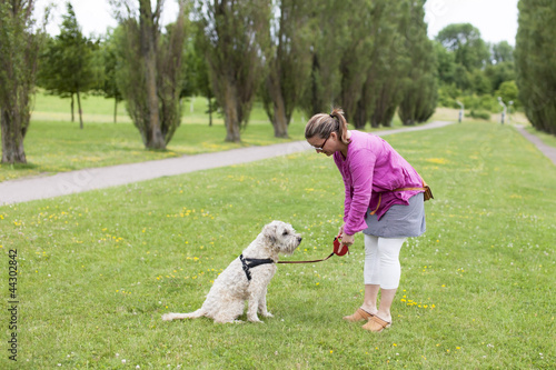 Photo: Training the Dog Training the Dog