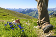 Wandertag