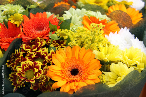 Photo: herbslicher blumenstrauß herbslicher blumenstrauß