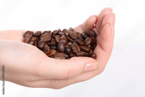 Photo: Hand mit Kaffeebohnen Hand mit Kaffeebohnen