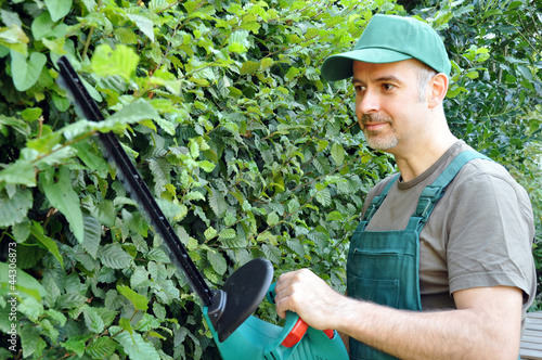 Photo: Gärtner schneidet Hecke Gärtner schneidet Hecke