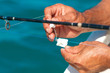 Hands holding bait and hook