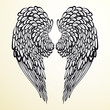 Angel wings