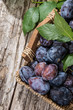 Basket filled with fresh Plums