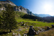 Photo: Schweizer Alpenlandschaft Schweizer Alpenlandschaft