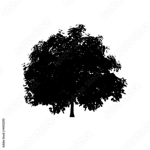 Vector: baum baum