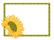 Country sunflower border