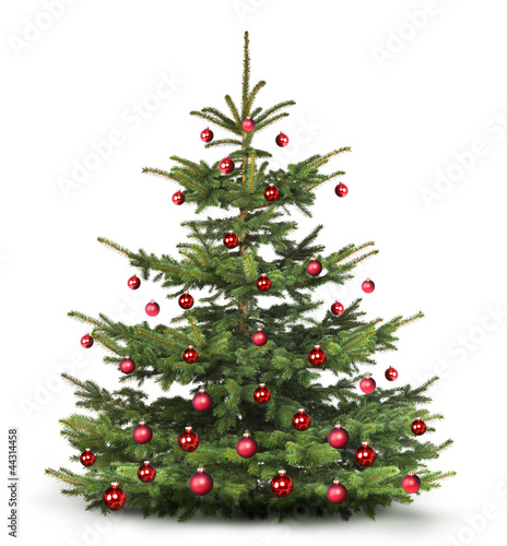 Photo: Geschmückter Weihnachtsbaum Geschmückter Weihnachtsbaum