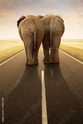 Photo: Conceptual - Going away together / travel by road Conceptual - Going away together / travel by road