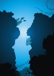 The underwater rock