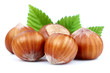 Foto: Hazelnuts Hazelnuts