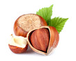 Hazelnuts with leaves