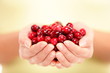 Photo: Cranberries Cranberries