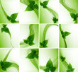 abstract Vector Natural eco green lives wave collection