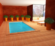 PISCINE INTERIEUR PRIVEE