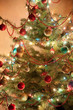 Illuminated Christmas tree