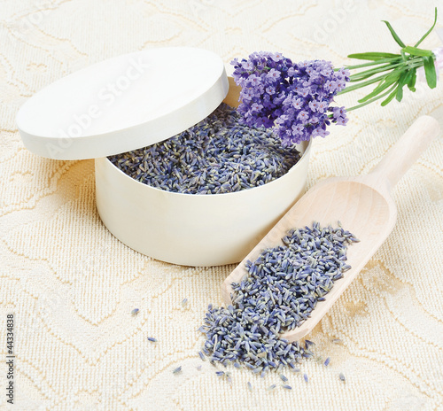 Photo: dry Lavender flowers (getrocknete Lavendelblüten) dry Lavender flowers (getrocknete Lavendelblüten)