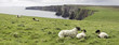 die stacks of duncansby in schottland