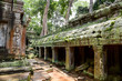 Ancient ruins in Ta Prohm Temple, Cambodia