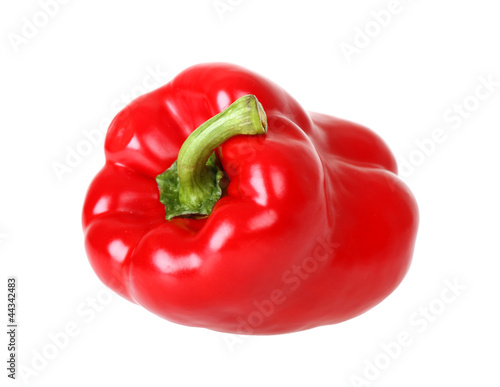 Photo: rote Paprika freigestellt rote Paprika freigestellt