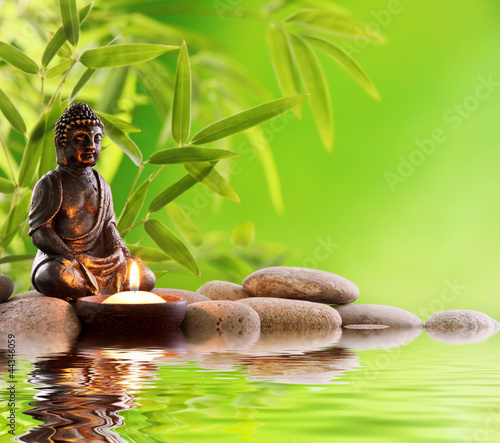  Buddha Zen