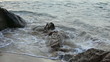 Video: Ocean waves and rocks. Phuket, Thailand. Ocean waves and rocks. Phuket, Thailand.