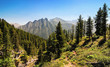 Photo: Mountain forest Mountain forest