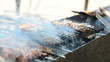 Preparation of shashlick