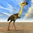 Phorusrhacos