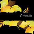 ginkgoes background