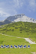 Liegestühle mit Alpspitze