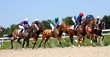Horse racing
