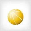 Basketball Icon