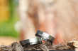 Ringfoto