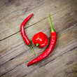 rote Chilis