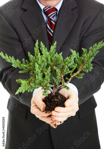 Photo: Business and the Environment Business and the Environment