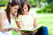 Students studying in the park