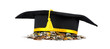 Graduation cap with coins, career concept. Isolated on white