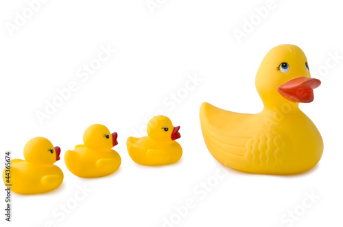 Photo: Rubber ducks Rubber ducks