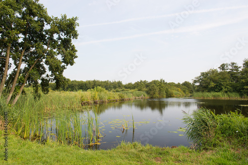 Photo: Water landscape in Holland Water landscape in Holland
