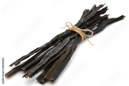 Photo: Kelp Kelp