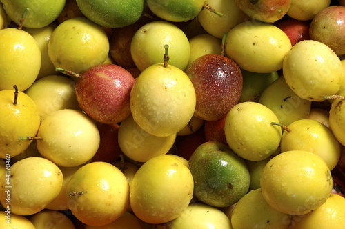 Photo: Passion fruit Passion fruit